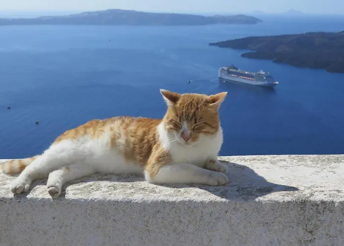 Alios Country Апартаменты *